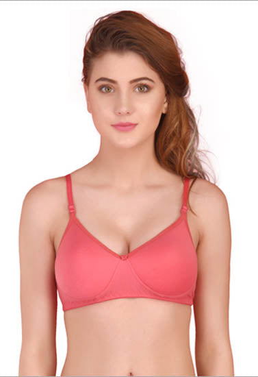 Seamless Padded T-Shirt Bra (Pack of 3), NikkiandNaomi