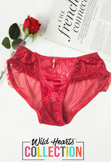 Female Perspective Luxurious Pendent Maroon Lace Brief, NikkiandNaomi