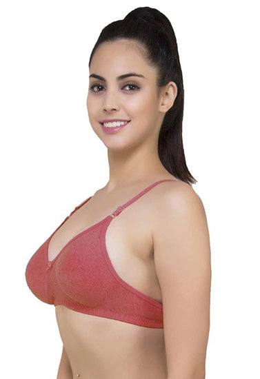 Lightly Padded Classic Comfort Bra (Pack of 2), NikkiandNaomi