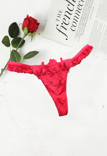Crotch Embroidery Sexy Temptation String Lingerie, NikkiandNaomi